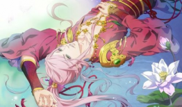 动漫红,燃烧的青春，热血的动漫传奇